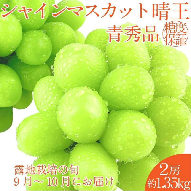 【ふるさと納税】【2026年 予約受付中】 シャインマスカット 晴王 2房 約1.35kg 9月〜10月出荷/ 岡山県産 種無し 皮ごと食べる みずみずしい フレッシュ 晴れの国 おかやま 果物大国 彩美菜果 岡山県 瀬戸内市 お届け：2026年9月〜2026年10月下旬