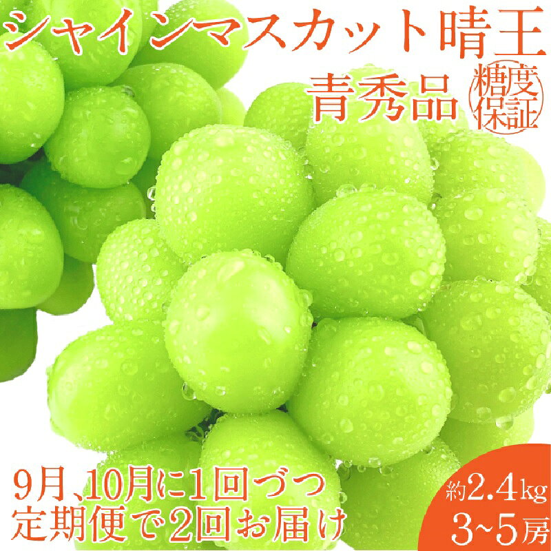 【ふるさと納税】2026年 予約受付中【2回定期便】 シャインマスカット 晴王 約2.4kg（3〜5房）9月10月に1回づつ出荷/ 岡山県産 種無し ..