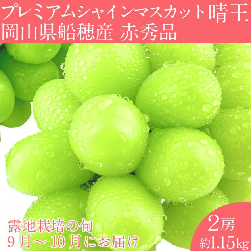【ふるさと納税】【2026年 予約受付中】 プレミアム シャインマスカット 晴王 2房約1.15kg/ 岡山県 船穂産 赤秀品 種無し 皮ごと食べる みずみずしい 9月10月にお届け フレッシュ 晴れの国 おかやま 果物大国 彩美菜果　お届け：2026年9月〜2026年10月下旬
