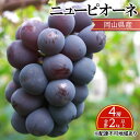 【ふるさと納税】ぶどう 【2025年 先行予約】 ニュー ピオーネ 4房 合計2kg以上 ブドウ 葡萄 岡山県産 国産 フルーツ 果物 ギフト お届け:2025...