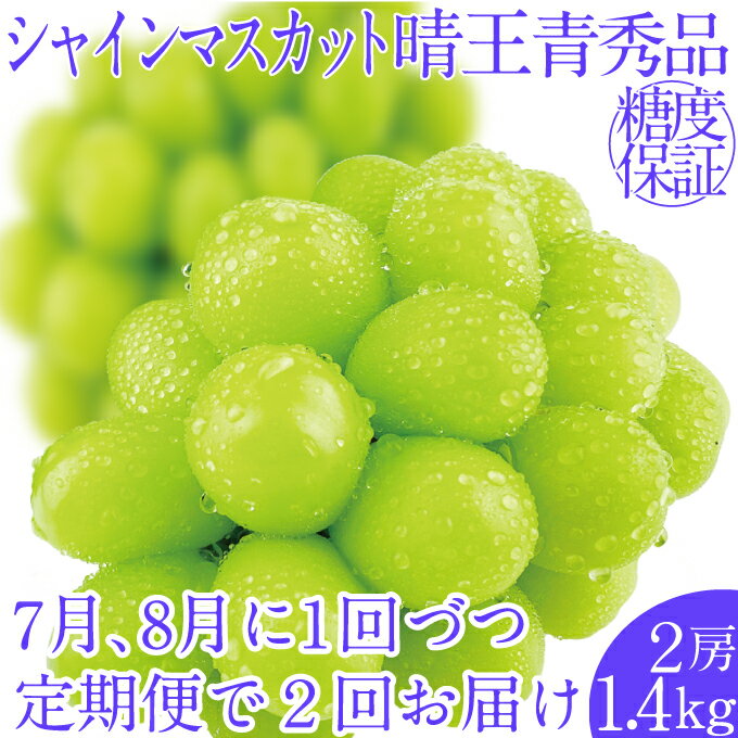 【ふるさと納税】2025年予約受付中【2回定期便】シャインマスカット晴王2房 約1.4kg 7月8月に出荷 人気 岡山県産 種無し 皮ごと食べる みずみずしい フレッシュ 晴れの国 おかやま 果物大国 ハレノフルーツ お届け:2025年7月1日~2025年8月31日