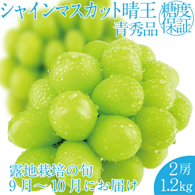 【ふるさと納税】2025年 先行予約受付中 シャインマスカット晴王 2房 約1.2kg 岡山県産 種無し 皮ごと食べる みずみずしい 甘い フレッシュ 瀬戸内 晴れの国 おかやま 果物大国 ハレノフルーツ お届け:2025年9月1日~2025年10月31日