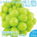 【ふるさと納税】2025年 先行予約受付中 シャインマスカット晴王 2房 約1.4kg 岡山県産 種無し 皮ごと食べる みずみずしい 甘い フレッシュ 瀬戸内 晴れの国 おかやま 果物大国 ハレノフルーツ お届け:2025年9月1日~2025年10月31日