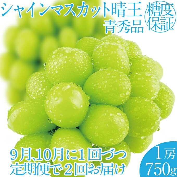 【ふるさと納税】2025年 先行予約受付中【2回定期便】シャインマスカット晴王1房 約750g 岡山県産 種無し 皮ごと食べる みずみずしい 甘い フレッシュ 瀬戸内 晴れの国 おかやま 果物大国 ハレノフルーツ お届け:2025年9月1日~2025年10月31日