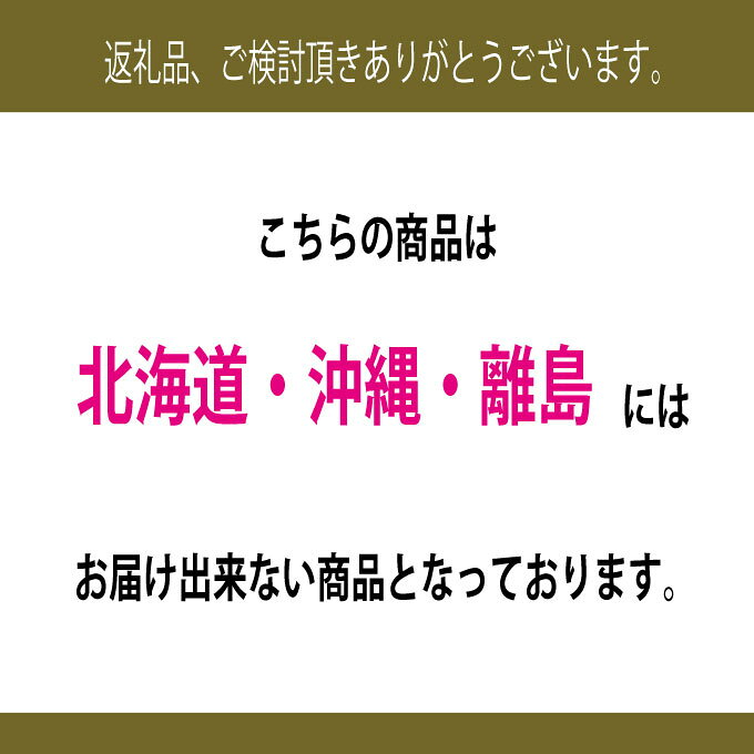 【ふるさと納税】【定期便 全2回】 ぶどう 2026年 先行予約 9月・10月発送 高級品 シャインマスカット 晴王 2房 合計約1.4kg ブドウ 葡萄 岡山県産 国産 フルーツ 果物 ギフト　お届け：2026年9月中旬～2026年10月下旬