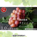 【ふるさと納税】厳選 クイーンニーナ 1.0kg以上 2房 産地直送 朝採れ ぶどう 葡萄 KAWAHARA Green Farm 岡山県産 2025年 お届け...