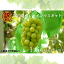 【ふるさと納税】訳あり シャインマスカット 2~3房 合計1.6kg以上 産地直送 朝採れ ぶどう 葡萄 シャイン マスカット 岡山 Kawahara Gree...
