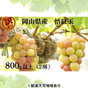 【ふるさと納税】訳あり 悟紅玉 旧ゴルビー 2房 合計800g以上 産地直送 朝採れ ぶどう 葡萄 岡山 Kawahara Green Farm 岡山県産 20...
