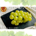 【ふるさと納税】訳あり 瀬戸ジャイアンツ 2房 合計1.0kg以上 産地直送 朝採れ ぶどう 葡萄 岡山 Kawahara Green Farm 岡山県産 20...