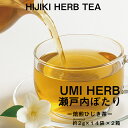 【ふるさと納税】海藻漁師が自宅で飲むお茶 天然 海藻 無添加商品 焙煎 ひじき茶 約2g×14袋入り×2箱セット ティーバッグ 鉄分豊富 焙煎ひじき茶 瀬戸内ぽ...
