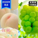【ふるさと納税】【2025年先行受付】 白桃 シャインマスカット 晴王 6回 定期便 桃 ぶどう 岡山県産 御中元 ギフト 御礼 プレゼント 御礼 御祝 御供 ...