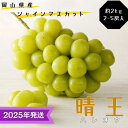【ふるさと納税】【2025年先行受付】 シャインマスカット 晴王 秀品 大房 約2kg(2〜5房) 岡山県産 ぶどう 葡萄 ブドウ ギフト 御礼 プレゼント 御...