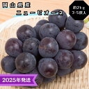 【ふるさと納税】【2025年先行受付】 ぶどう ニューピオーネ 秀品 約2kg(3〜5房) 岡山県産 ぶどう 葡萄 ブドウ ギフト 御礼 プレゼント 御礼 御祝...