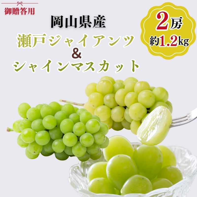 【ふるさと納税】御贈答用 岡山県産 瀬戸ジャイアンツ シャインマスカット 2房入り(1.2kg以上) ぶどう ブドウ 葡萄 フルーツ 果物 岡山 瀬戸内市　お届け：2026年9月中旬～2026年10月下旬
