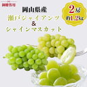 商品画像3