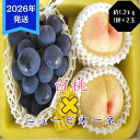 【ふるさと納税】【2026年先行受付】 白桃 ニューピオーネ 約1.2kg セット 桃 2玉 ぶどう 1房 岡山県産 御中元 ギフト 御礼 プレゼント 御礼 御...