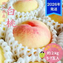 【ふるさと納税】【2026年先行受付】 白桃 特秀 ロイヤル 大玉 約2kg(5〜7玉) 岡山県産 桃 もも モモ 御中元 ギフト 御礼 プレゼント 御礼 御祝...