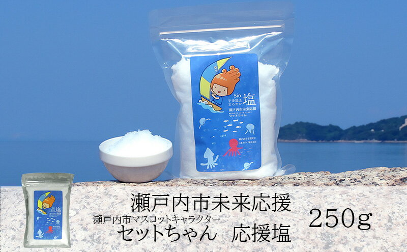 【ふるさと納税】セットちゃん 応援塩 250g 塩 フレーク塩 粗塩 調味料 岡山 瀬戸内市