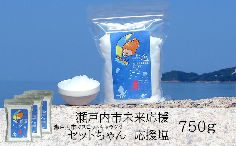 【ふるさと納税】セットちゃん 応援塩 750g(250g×3袋) 塩 フレーク塩 粗塩 調味料 岡山 瀬戸内市