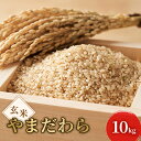 【ふるさと納税】令和7年度産 新米 玄米 やまだわら 10kg 米 お米 コメ おこめ 岡山 瀬戸内市 お届け:2025年11月1日~2026年1月31日