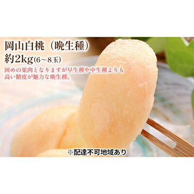 【ふるさと納税】固めの 桃 2026年 先行予約 白桃 晩生種 2kg 6～8玉 もも モモ 岡山 国産 フルーツ ...