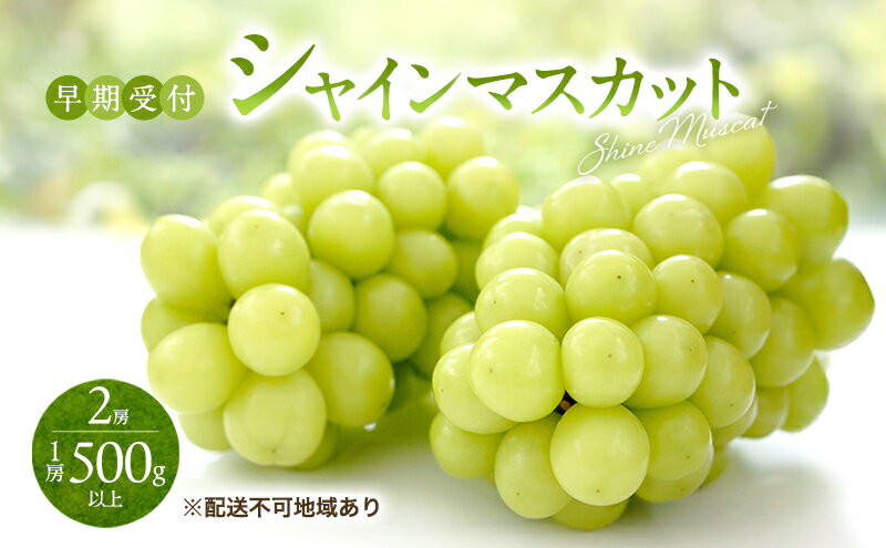 【ふるさと納税】ぶどう 早期受付 シャイン マスカット 2房（1房500g以上） ブドウ 葡萄 岡山県産 国産 フルーツ 果物 ギフト 桃茂実苑　お届け：2026年10月上旬～2027年1月下旬