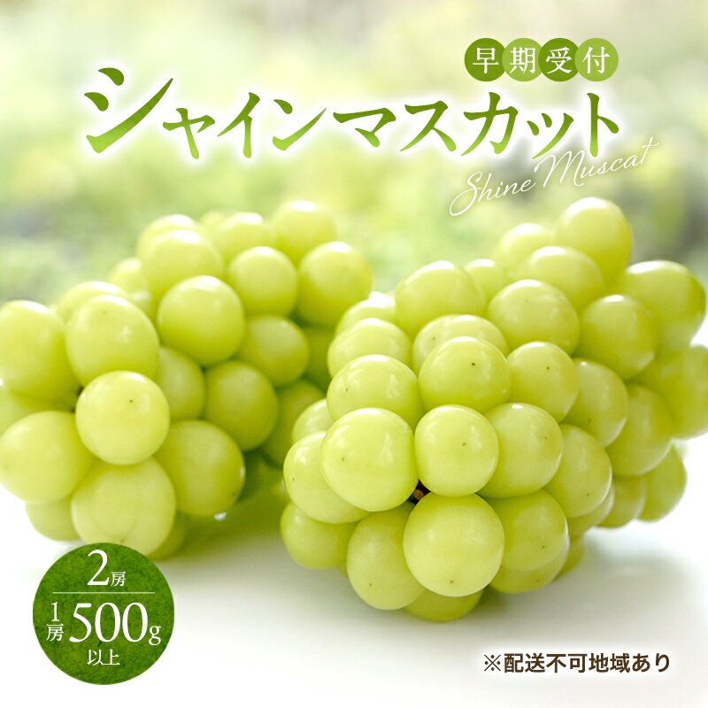 【ふるさと納税】ぶどう 早期受付 シャイン マスカット 2房（1房500g以上） ブドウ 葡萄 岡山県産 国産 フルーツ 果物 ギフト 桃茂実苑　お届け：2026年10月上旬～2027年1月下旬