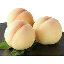 【ふるさと納税】桃茂実苑 岡山白桃 2kg(6〜8玉) 【果...