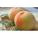【ふるさと納税】赤磐市産 白鳳(白桃)約3.0kg 9〜10