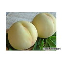 【ふるさと納税】●先行予約受付●赤磐市産 白麗(白桃)約80