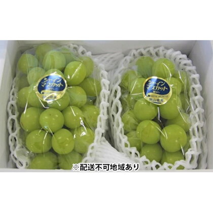 ●先行予約受付●農マル園芸あかいわ農園 シャインマスカット 2房(1房600g〜700g) ご家庭用 【果物類・ぶどう・マスカット・フルーツ・果物・シャインマスカット】 お届け:2021年8月下旬〜9月上旬