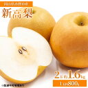 【ふるさと納税】梨 2025年 先行予約 新高梨 2玉 約1.6kg(1玉約800g)岡山県 赤磐市産【配達不可:離島】 なし フルーツ 果物 ナシ 果物類 お届け:2025年10月中旬~2025年11月上旬