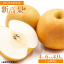 【ふるさと納税】梨 2025年 先行予約 新高梨 4玉~6玉 約4.0kg(1玉約800g)岡山県赤磐市産【配達不可:離島】 なし フルーツ 果物 ナシ 果物類 お届け:2025年10月中旬~2025年11月上旬