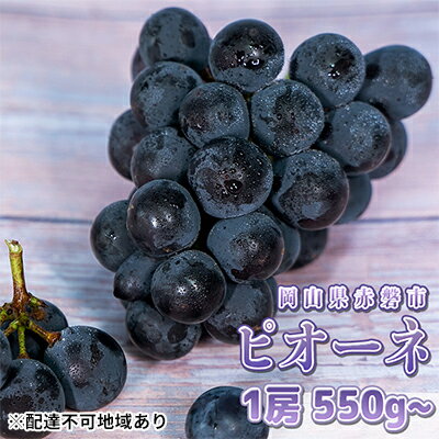 【ふるさと納税】ぶどう 2026年 先行予約 ニュー ピオーネ 大粒 1房 550g以上 ブドウ 葡萄 岡山県 赤磐市産 国産 フルーツ 果物 ギフト 赤坂青空市 黒ブドウ 果物類 お届け:2026年6月下旬~2026年7月下旬