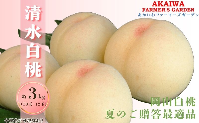 【ふるさと納税】桃 2024年 先行予約 清水 白桃 約3.0kg 9～12玉 もも 岡山県 赤磐市産 フルーツ 果物 あかいわファーマーズガーデン　【果物 もも 桃 フルーツ 果物類 白桃】　お届け：2024年7月中旬～2024年8月上旬