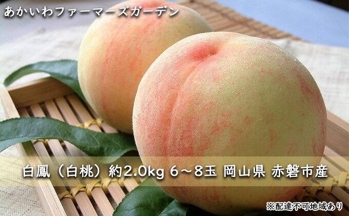 【ふるさと納税】桃 2024年 先行予約 白桃 白鳳 約2.0kg 6～8玉 もも 岡山県 赤磐市産 フルーツ 果物 あかいわファーマーズガーデン　【果物 もも 桃 フルーツ 果物類 白桃】　お届け：2024年7月上旬～2024年7月中旬