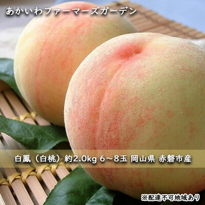 桃 2024年 先行予約 白桃 白鳳 約2.0kg 6～8玉 もも 岡山県 赤磐市産 フルーツ 果物 あかいわファーマーズガーデン　【果物 もも 桃 フルーツ 果物類 白桃】　お届け：2024年7月上旬～2024年7月中旬