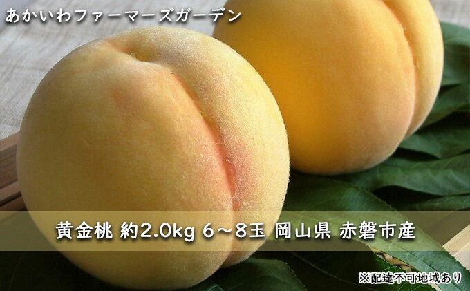 【ふるさと納税】桃 2024年 先行予約 黄金 桃 約2.0kg 6～8玉 もも 岡山県 赤磐市産 フルーツ 果物 あかいわファーマーズガーデン　【果物 もも 桃 フルーツ 果物類 黄金桃 】　お届け：2024年8月下旬～2024年9月上旬