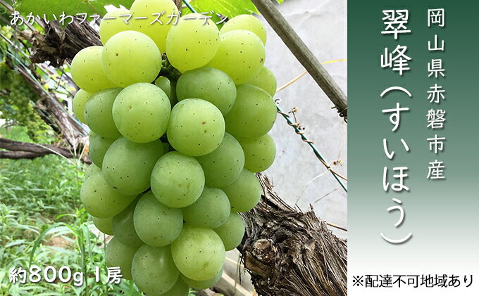 名称翠鳳内容量翠峰（すいほう）約800g 1房／1箱 ※お届け日の指定、時間帯の指定は申し訳ないですが、お受けできません。産地岡山県赤磐市事業者あかいわファーマーズガーデン配送方法常温配送お届け時期2024年9月中旬～2024年10月上旬備考※画像はイメージです。 ※オンライン決済のみの取扱となります。 ※お届け日の指定、時間帯の指定は申し訳ないですが、お受けできません。 ※出荷時期になりましたら、別途メールにてお届けについてのご案内をさせていただきます。 ※天候や収穫状況によりお届けが遅れることがあります。万が一手配ができないときは別途ご連絡させていただく場合がございます。 ※本品は”押し””キズ”等、箱毎に検品を行い、梱包には細心の注意を払い出荷致しますが、輸送中の振動などを原因とする若干の”押し””キズ”等が入る場合もありますので、誠に恐縮ですがご理解の上、お申し込みください。 ※賞味期限：出荷日より常温5日 ※離島へはお届け出来ません。 ※上記のエリアからの申し込みは返礼品の手配が出来ないため、「キャンセル」または「寄附のみ」とさせていただきます。予めご了承ください。 ・ふるさと納税よくある質問はこちら ・寄附申込みのキャンセル、返礼品の変更・返品はできません。あらかじめご了承ください。【ふるさと納税】ぶどう 2024年 先行予約 翠峰 すいほう 約800g 1房 葡萄 岡山県 赤磐市産 フルーツ 果物 あかいわファーマーズガーデン　【果物 ぶどう フルーツ 翠峰】　お届け：2024年9月中旬～2024年10月上旬 【配達不可：離島】 ●先行予約●2024年の収穫時期に順次出荷します！ 濃厚な甘みと爽やかな酸味。果汁たっぷりで、食べ応えのある大粒の果実。口に入れるとツルッと皮がむけ、種がないので食べやすく、すっきりとした後味です。 ぶどうブドウ 葡萄 フルーツ 果物 果汁 皮ごと 種無し 種なし 岡山 おかやま 岡山県産 ギフト プレゼント 贈答 手土産 お祝い 家庭用 お取り寄せ 取寄せ グルメ 産地直送 寄附金の用途について 市政全般 自然保護 教育振興 福祉増進 産業振興 歴史保存 魅力発信 スポーツ 受領証明書及びワンストップ特例申請書のお届けについて 【受領証明書】 入金確認後、注文内容確認画面の【注文者情報】に記載の住所にお送りいたします。発送の時期は入金確認後3週間～1ヶ月程度を目途に、お礼の特産品とは別にお送りいたします。 【ワンストップ特例申請書】 ワンストップ特例申請書については、12月26日までに入金確認できたもののみ、赤磐市より申請書を郵送させていただきます。27日以降の入金確認となる場合は、以下のURLよりダウンロードしていただくか、自治体マイページよりオンラインワンストップ申請をご利用ください。 ★ダウンロードはこちらURL:https://event.rakuten.co.jp/furusato/guide/onestop/ ★オンライン申請はこちらhttps://event.rakuten.co.jp/furusato/guide/onestop/online/ 郵送の場合、寄付をされた翌年の1月10日までに申請書が当庁まで届くように発送ください。オンライン申請の場合も寄附をされた翌年の1月10日までに申請してください。マイナンバーに関する添付書類に漏れのないようご注意ください。