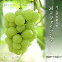 【ふるさと納税】ぶどう 2024年 先行予約 瀬戸ジャイアンツ 約600g 1房 葡萄 岡山県 赤磐市産 フルーツ 果物 あかいわファーマーズガーデン 【果物 ぶどう フルーツ ジャイアンツ】 お届け：2024年9月中旬～2024年10月上旬