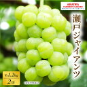 【ふるさと納税】ぶどう 2024年 先行予約 瀬戸ジャイアンツ 約1.2kg 2房 葡萄 岡山県 赤磐市産 フルーツ 果物 あかいわファーマーズガーデン 【果物 ぶどう フルーツ ジャイアンツ 】 お届け：2024年9月中旬～2024年10月上旬