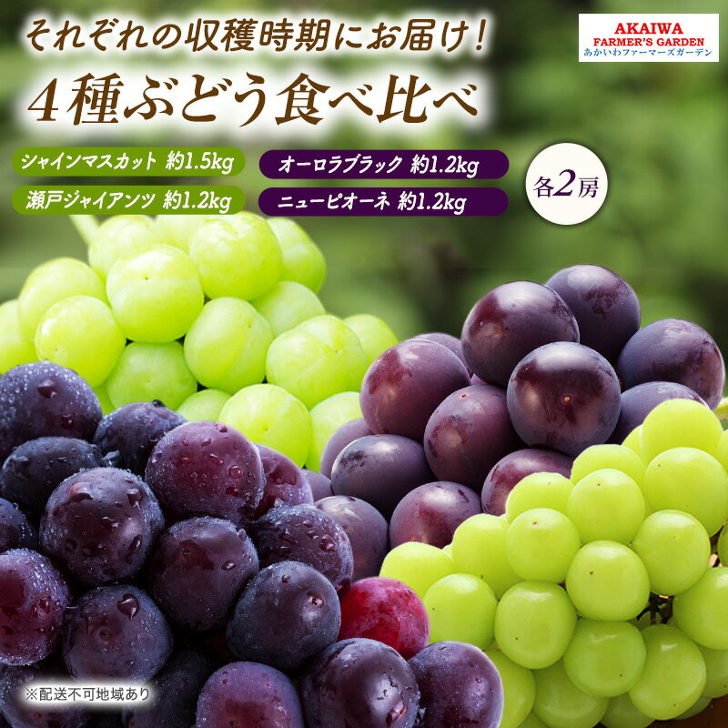 ぶどう 2024年 先行予約 ぶどう 食べ比べ 約1.2kg～1.5kg×5種 葡萄 岡山県 赤磐市産 フルーツ 果物　【果物類 ぶどう マスカット フルーツ 果物】　お届け：2024年9月中旬～2024年10月上旬