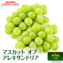 【ふるさと納税】ぶどう 2025年 先行予約 マスカット オブ アレキサンドリア 2房 (約1.0kg) 葡萄 岡山県 赤磐市産 フルーツ 果物 ブドウ 果物類...
