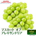 19位! 口コミ数「1件」評価「2」ぶどう 2024年 先行予約 マスカット オブ アレキサンドリア 約1.0kg 2房 葡萄 岡山県 赤磐市産 フルーツ 果物　【果物 ぶどう･･･ 