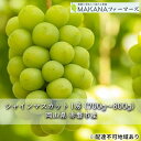 名称シャインマスカット内容量シャインマスカット 1房 700～800g 岡山県赤磐市産 ※お届け日、時間帯の指定は申し訳ないですが、お受けできません。 ※果物は天候や収穫状況に左右されやすいため、発送時期につきましては目安となります。 ※果物は大変傷みやすいです。受取後すぐに開封いただきお品の状態をご確認ください。産地岡山県事業者MAKANAファーマーズ配送方法常温配送お届け時期2024年10月上旬～2024年10月中旬備考※画像はイメージです。 ※オンライン決済のみの取扱となります。 ※お届け日の指定、時間帯の指定は申し訳ないですが、お受けできません。 ※出荷時期になりましたら、別途メールにてお届けについてのご案内をさせていただきます。 ※天候や収穫状況によりお届けが遅れることがあります。万が一手配ができないときは別途ご連絡させていただく場合がございます。 ※本品は”押し””キズ”等、箱毎に検品を行い、梱包には細心の注意を払い出荷致しますが、輸送中の振動などを原因とする若干の”押し””キズ”等が入る場合もありますので、誠に恐縮ですがご理解の上、お申し込みください。 ※賞味期限：出荷日より常温5日 ※北海道、沖縄県、離島にはお届けできません。 ※上記のエリアからの申し込みは返礼品の手配が出来ないため、「キャンセル」または「寄附のみ」とさせていただきます。予めご了承ください。 ・ふるさと納税よくある質問はこちら ・寄附申込みのキャンセル、返礼品の変更・返品はできません。あらかじめご了承ください。【ふるさと納税】ぶどう 2024年 先行予約 シャイン マスカット 1房 700g～800g 大粒 種無し ブドウ 葡萄 岡山県 赤磐市産 国産 フルーツ 果物 ギフト MAKANAファーマーズ　【果物類 ぶどう マスカット シャインマスカット 葡萄】　お届け：2024年10月上旬～2024年10月中旬 【配達不可：北海道・沖縄・離島】 ●先行予約●2024年の収穫時期に順次出荷します！ ふるさと納税でも大人気のシャインマスカットは種がなく、皮ごと食べることができます。 噛んだ瞬間のパリッとした音と弾力のある食感をお楽しみいただける人気のお品です。 農園がございます岡山県赤磐市の是里地区は標高が高いことから昼夜の寒暖差があり、糖度、食味が良好です。赤土の保水力と肥持ちを活かし大粒で品質の良いぶどうが出来ます。 「大粒・糖度・食味・房形」にこだわり、美味しいが感動に変わるそんなワンランク上のぶどう達です。 ■感謝と美味しさ溢れる農園「MAKANAファーマーズ」 まだまだ若い農園ですが、数々の賞を獲得しています！ 岡山県赤磐市の北部標高300mの山合にある是里地区にて、ぶどう・キウイ・ごぼうを中心に栽培を行っています。 味・品質・栽培技術にこだわり数々の賞を得てきました。 「美味しかったありがとう」「贈ってくれてありがとう」と感謝の言葉溢れる農業にしたいという想いから、 ハワイ語で「大切な贈り物」という意味の「MAKANA（マカナ）」と名付けました。 ・2017年最優秀岡山備前県民局長賞 ・2017年日本野菜ソムリエサミット銀賞 ・2016年日本野菜ソムリエサミット銀賞 ・2014年JA岡山東組合長賞 ・2013年最優秀岡山備前県民局長賞 ・2013年うまいくだものづくり推進本部長賞 ・2013年最優秀岡山県知事賞 寄附金の用途について 市政全般 自然保護 教育振興 福祉増進 産業振興 歴史保存 魅力発信 スポーツ 受領証明書及びワンストップ特例申請書のお届けについて 【受領証明書】 入金確認後、注文内容確認画面の【注文者情報】に記載の住所にお送りいたします。 発送の時期は、入金確認後3週間～1ヶ月程度を目途に、お礼の特産品とは別にお送りいたします。 【ワンストップ特例申請書】 ワンストップ特例申請書については、12月27日までに入金確認できたもののみ、赤磐市より申請書を郵送させていただきます。 28日以降の入金確認となる場合は、以下のURLよりダウンロードしていただくか、自治体マイページよりオンラインワンストップ申請をご利用ください。 ★ダウンロードはこちら URL：https://event.rakuten.co.jp/furusato/guide/onestop/ ★オンライン申請はこちら https://event.rakuten.co.jp/furusato/guide/onestop/online/ 郵送の場合、令和6年1月10日までに申請書が当庁まで届くように発送ください。オンライン申請の場合も令和6年1月10日までに申請してください。 マイナンバーに関する添付書類に漏れのないようご注意ください。