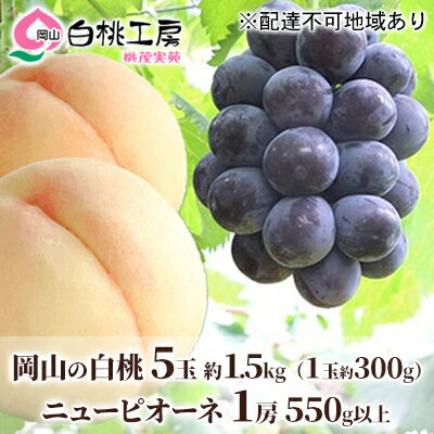 【ふるさと納税】桃 ぶどう 2024年 先行予約 白桃 5玉 合計約1.5kg 1玉 約300g ニュー ピオーネ 1房 550g もも 葡萄 詰合せ 岡山 国産 フルーツ 果物 ギフト 桃茂実苑 【果物 ぶどう フルーツ …