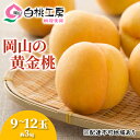 【ふるさと納税】桃 2025年 先行予約 黄金 桃 3kg 9〜12玉 もも モモ 岡山 国産 フルーツ 果物 ギフト 桃茂実苑 果肉 お届け:2025年8月...