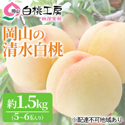【ふるさと納税】桃 2025年 先行予約 清水 白桃 1.5kg 5~6玉 もも モモ 岡山 国産 フルーツ 果物 ギフト 桃茂実苑 果肉 お届け:2025年7月中旬~2025年8月上旬