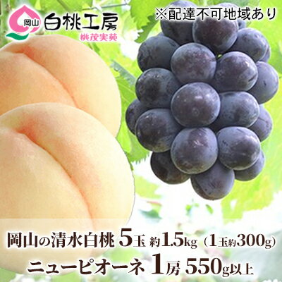 桃 ぶどう 2024年 先行予約 清水 白桃 5玉 約1.5kg 1玉約300g ニュー ピオーネ 1房 550g以上もも 葡萄 詰合せ 岡山 国産 フルーツ 果物 ギフト 桃茂実苑 　【果物 もも 桃 フルーツ 果物類】　お届け：2024年7月中旬～2024年8月上旬