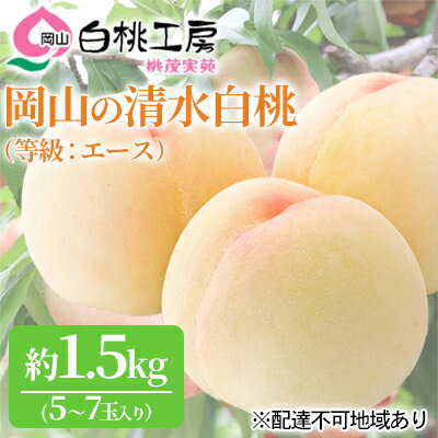 【ふるさと納税】桃 2024年 先行予約 清水 白桃 等級 エース 約1.5kg 5～7玉入りもも モモ 岡山 国産 フルーツ 果物 ギフト 桃茂実苑 【果物 もも 桃 フルーツ モモ 果肉】 お届け：2024年7月…